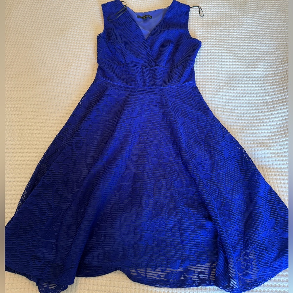 Vibrant Royal Blue A-Line Lace Dress
